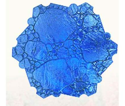 �۰�����ɫ����ӡģ&nbsp;(6)